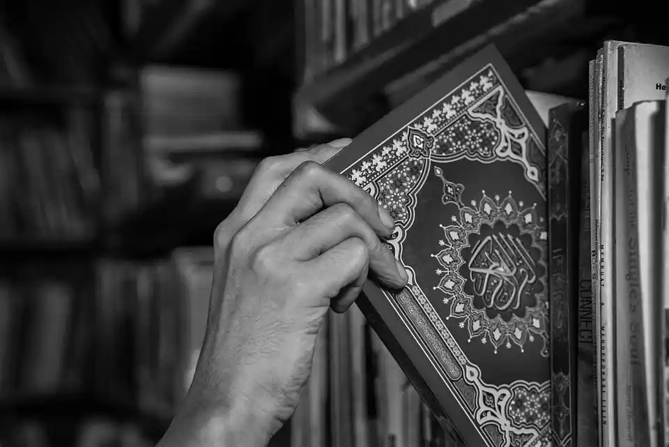 quran_with_tafseer_bmsmsi